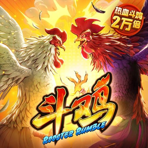 24小时精准计划网页版